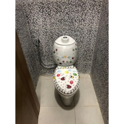 Toilette Coloré Sanitaire...